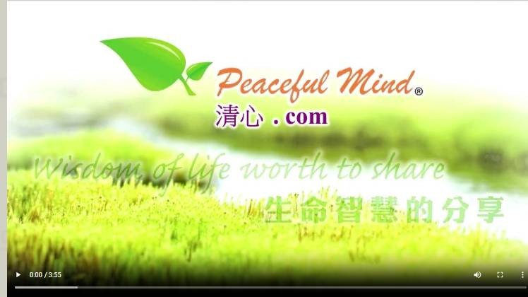 有意義的人生 (作者盧瑞珊博士)